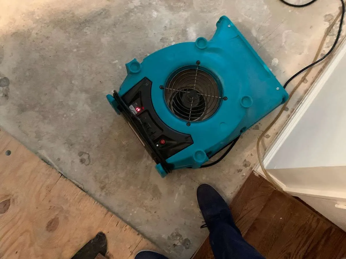 Air mover drying subfloor during Commercial Water Damage Restoration in Kathleen