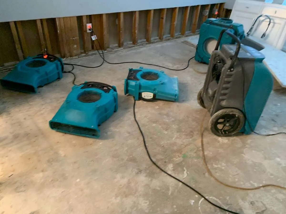 Water Damage Restoration services in Kathleen, FL